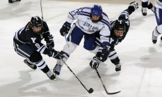 开云官网-多元赛场，同一追求，从法国力克中国到戴资颖的统治—体育世界中的唯一性寓言