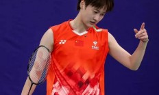 开云体育官网-丹麦队绝杀日本队，陈雨菲统治全场的简单介绍