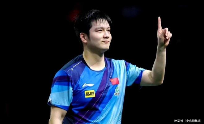 法国队绝杀奥地利队，樊振东关键制胜的简单介绍