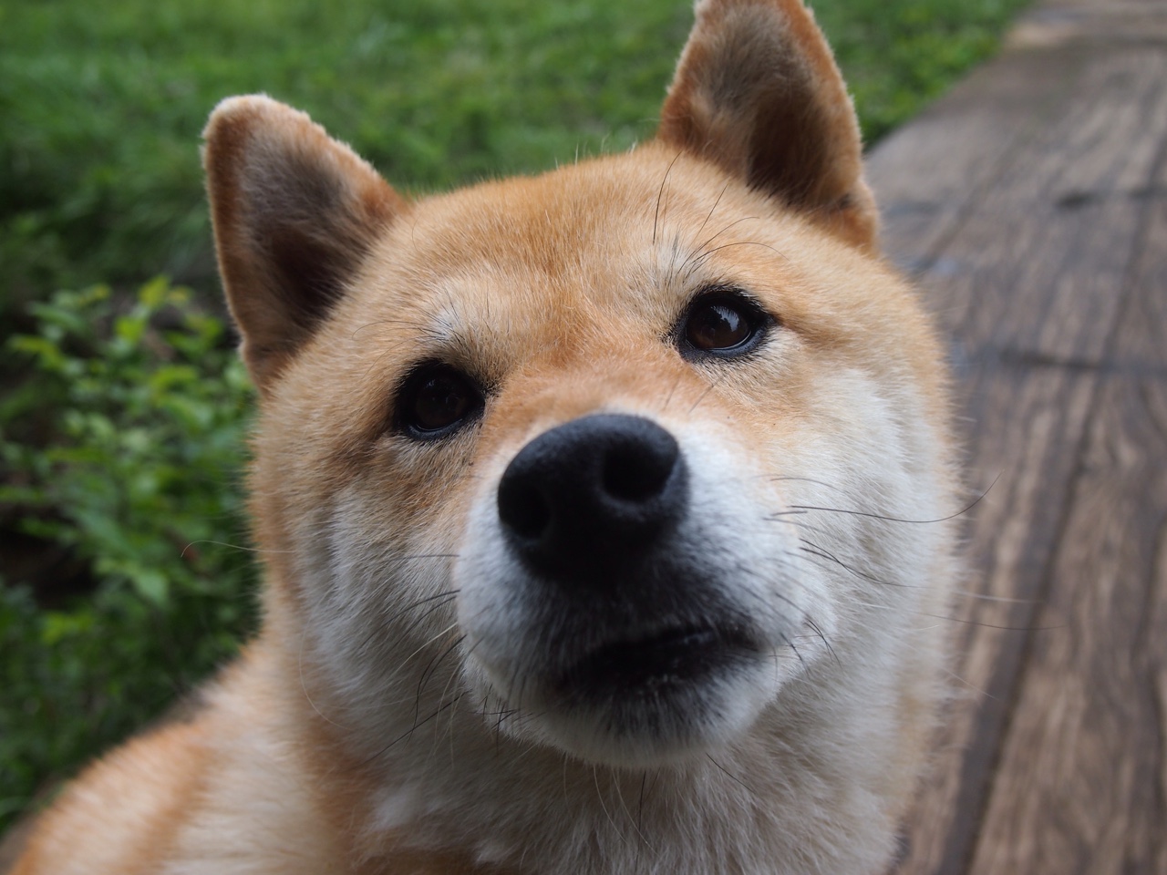 迪亚斯爆发改写战局,加纳强行终结英格兰黄金一代